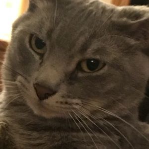 Meet your Posher, Jenny